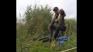 Рыбалка на поплавок на малой речке. Утренний клёв карася на опарыша и манку.