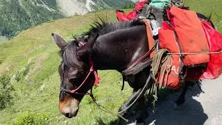 Luggage transport on the tour du Mont Blanc hike