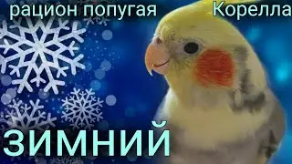 Зимний рацион попугая Корелла. Питания попугаев.Чем кормить попугая зимой.Зелень для попугая Корелла