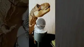 Арбуз Арбуз привет!#мем#ржака #viralvideo #fypシ゚viral #арбуз #смешно #2024