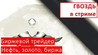 Биржевой трейдер  |  ГВОЗДЬ в стриме