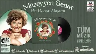 Müzeyyen Senar - Bir Bahar Akşamı Plak