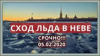 СРОЧНО | СХОД ЛЬДА С НЕВЫ | НЕВА ТАЕТ ЖЕСТЬ | NEVA MELTS | THE ICE IS MELTING |февраль 2020 | ТОП 10
