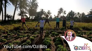 Run BarBar Aljanabiya- Beautiful barain