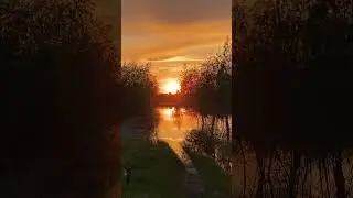#nature #окунево #lake #природа #путешествия #travel