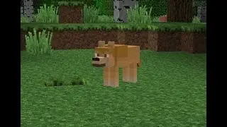 Bob the doge throws a stuffed Minecraft doge down the stairs (Gone Wrong)