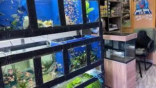 الجديد عندي في المحل أسماك أحواض و سلعة بتاريخ 21 ماي 2024