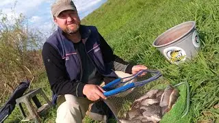 Шоша, новые локации! Отличный клёв леща!
