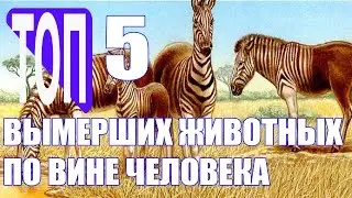 5 kinds of extinct animals by humans