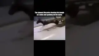 The Slowest Hecarim