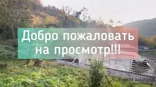 🔥🔥🔥Продается дачный участок с жилым домиком и собственной баней!!