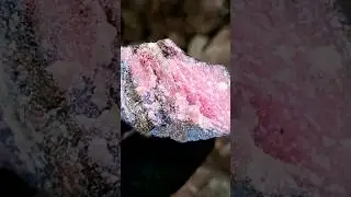 ‼️AMAZING‼️ Natural Pink Rhodonite of Massachusetts!  