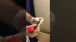 Remove Toilet Bowl from Toilet tank(tools you need)
