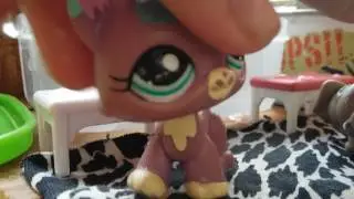 LPS:бред (поход в аквапарк)