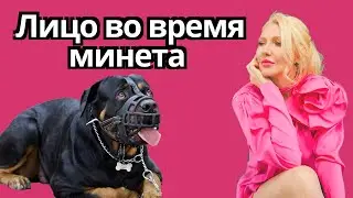 Лицо во время минета