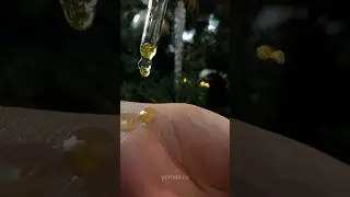 Важное новогоднее напоминание от Yonioil.ru