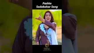 Da Ghra Pa Sar Lalten Balegi | Kishwar Sultan | Pashto Sadabahar Song