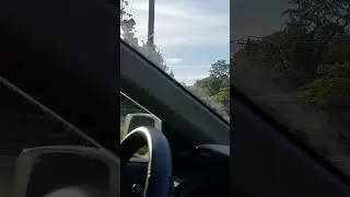 The Sign that a Dog is Happy Watch the Tail 🐕