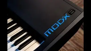 Yamaha MODX Synthesizer - All Playing, No Talking!
