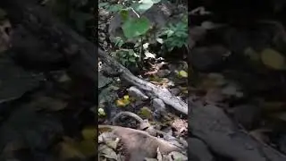 Nacimiento de Agua