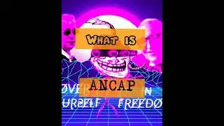 Anarcho Capitalism / Ancap explained!