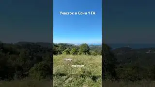 Продажа земли в Сочи. Участок 1 ГА. #землявсочи #участоквсочи