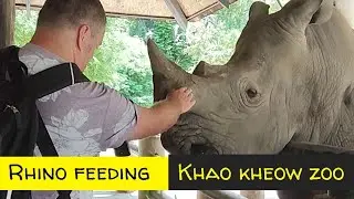 I Hand Fed A Rhinoceros