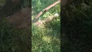 осторожно мат