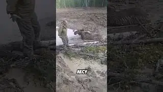 СПАСАТЕЛЬНАЯ ОПЕРАЦИЯ😱