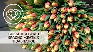 Букет из 101 красно-желтого тюльпана