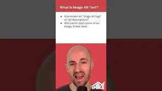 Beginner's Guide to Image Alt Text 