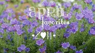 April Favorites ││ 2014
