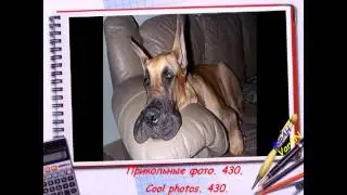 Collection. Cool photos. 430.