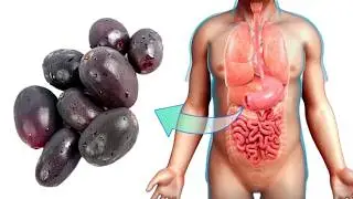 Blessings of Black Plumes (Jamun) for Your Body