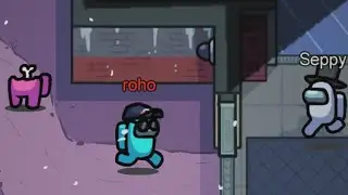 Among us but the Crewmates kill more than the imposter
