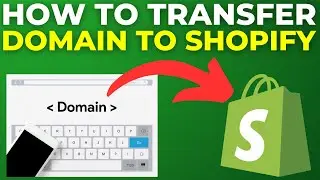 How To Transfer Domain To Shopify (2024)