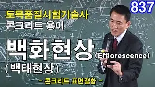 [ 토목품질시험기술사 콘크리트 ]  백화(백태)현상 (Efflorescence)