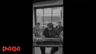 The Away Days - White Whale (Live Sessions) (Official Video)