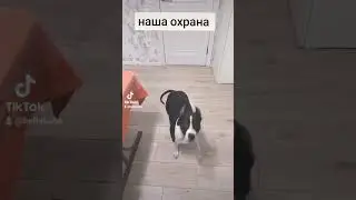 #юмор
