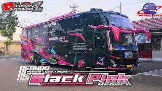 [[ GACORRR🔥🔥🔥]] Ngoyod Bus Tunggal Jaya Black Pink