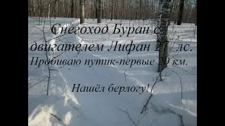 Пробиваю путик на снегоходе буран  по целине первые 20 км. Нашёл берлогу!
