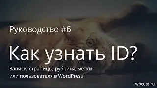 Руководство #6: Как узнать ID записи, страницы, рубрики, метки или пользователя в WordPress