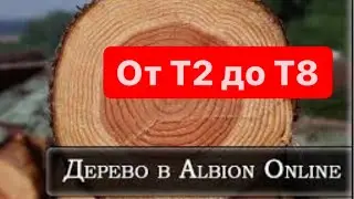 Где найти ДЕРЕВО и как оно выглядит в 2022! Albion Online. Просто Стримерша