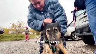Старичек Федя уехал домой спустя 8 лет жизни в приюте. Приют «Щербинка» проект @sobakauzao