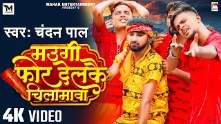 #Video | मउगी फोर देलकै चिलामावा | #Chandan Pal | Maugi Phor Delakau Chilamava | #Bolbam Song 2024