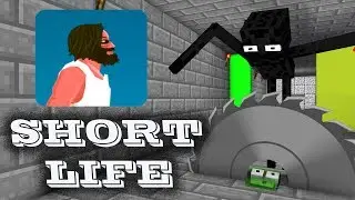 Monster School : SHORT LIFE CHALLENGE - Minecraft Animation
