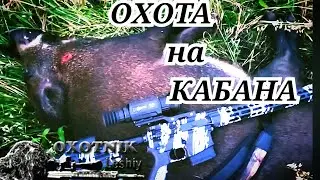 КАБАН точно ПО МЕСТУ на 238 метров!