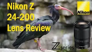 NIKON Z 24-200mm Lens