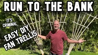 How To Make A 6' Fan Trellis... and not feel guilty