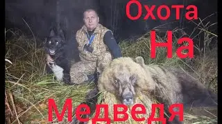 охота на медведя 2023 год добор с   Р.Е.Л И К.Ф.Л